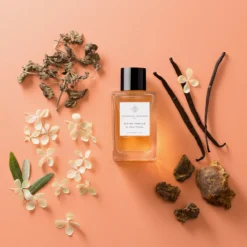 Divine Vanille -Perfume Store 3