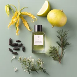 Nice Bergamote -Perfume Store 4 45181741 eea0 4147 ae83 c1ff36561bc5