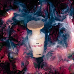 Burnt Roses -Perfume Store BTSO Burnt Roses Perfume Mood