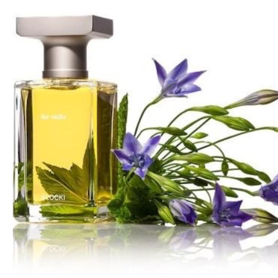 For Walks 3 For Walks - Image 3