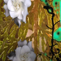 Jade Vines -Perfume Store Jade Vines by Regime des Fleurs Ministry of Scent3