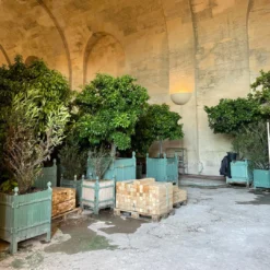 L'Or De Louis -Perfume Store L OrdeLouisbyArquiste 2 5e7a9c30 67df 4e12 be26 5cc20fcf665e