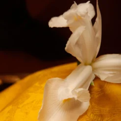 L'Or De Louis -Perfume Store L OrdeLouisbyArquiste 4