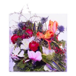 Magnolia Supercritique -Perfume Store Les Eaux Primordiales Supercritique Magnolia