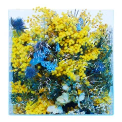 Mimosa Supercritique -Perfume Store Les Eaux Primordiales Supercritique Mimosa