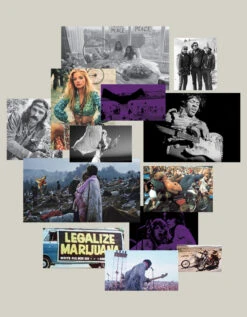 Purple Haze -Perfume Store PurpleHaze