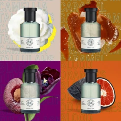 Shay & Blue Discovery Set