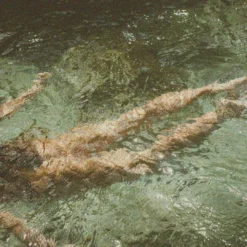 Smoked Bloom -Perfume Store Smoked Bloom by Libertine Fragrance01 1