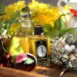 Hummingbird -Perfume Store ZoolistPerfumes Scene Hummingbird