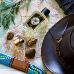 Koala -Perfume Store ZoolistPerfumes scene koala