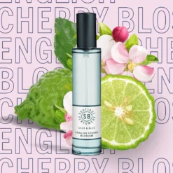 Perfume Store -Perfume Store image 2d548e0d 97a5 4f5e b51d 1635864ea4e5