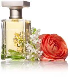 In Every Season -Perfume Store image 4727b59b ce95 4649 9e8b 7fd16a39365c