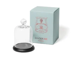 La Cloche Bell Jar & Wood Base