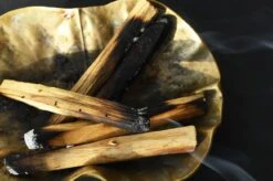 Smudge -Perfume Store image 8268a62d 126d 4bf1 afdf a640c4420fff