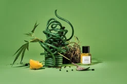 Dirty Grass -Perfume Store image 84992315 3445 4c6b bf48 b207f16a54ed