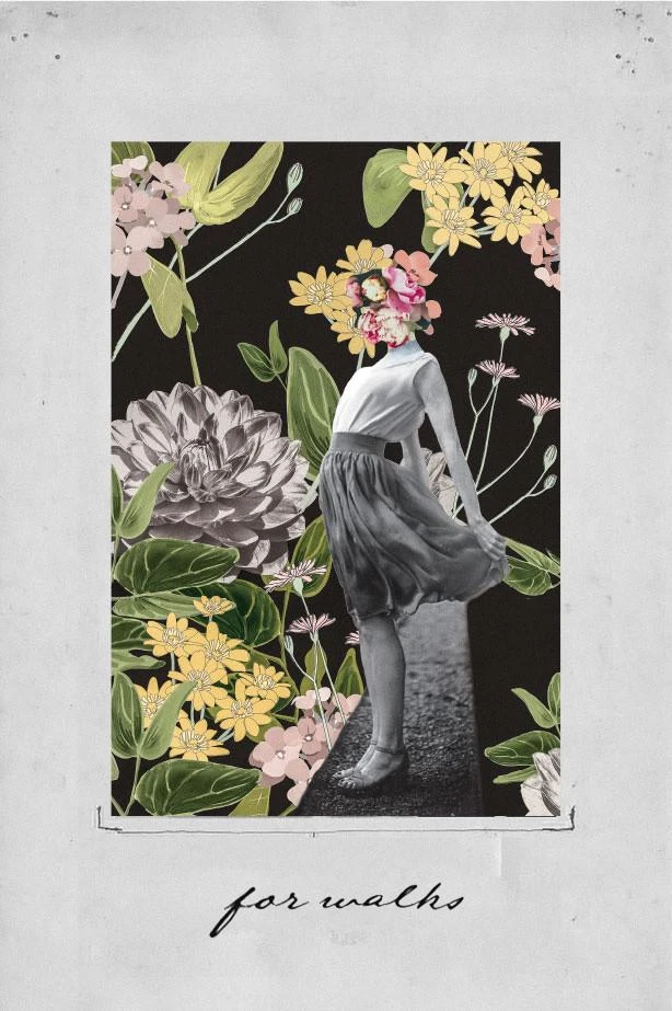 For Walks 2 For Walks - Image 2