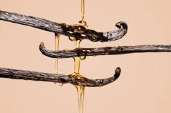 Dirty Vanilla 15 Dirty Vanilla -Perfume Store image 8e73b239 bd7d 4831 ad74 418c336ef1fc