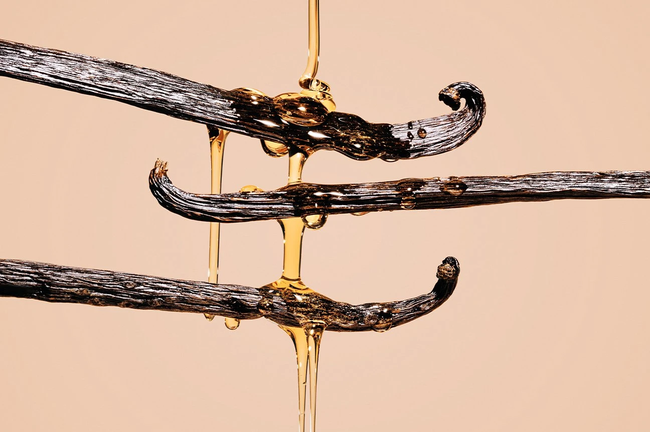 Dirty Vanilla 7 Dirty Vanilla - Image 7