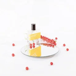 202: Watermelon, Red Currant & Jasmine -Perfume Store image a24b32c0 a369 4a20 8dc1 a48ed01d2816