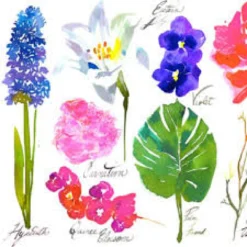 St. Regis Caroline's Four Hundred Room Spray -Perfume Store image ab40cb6b 7d44 4847 afd2 45d43b5b266e