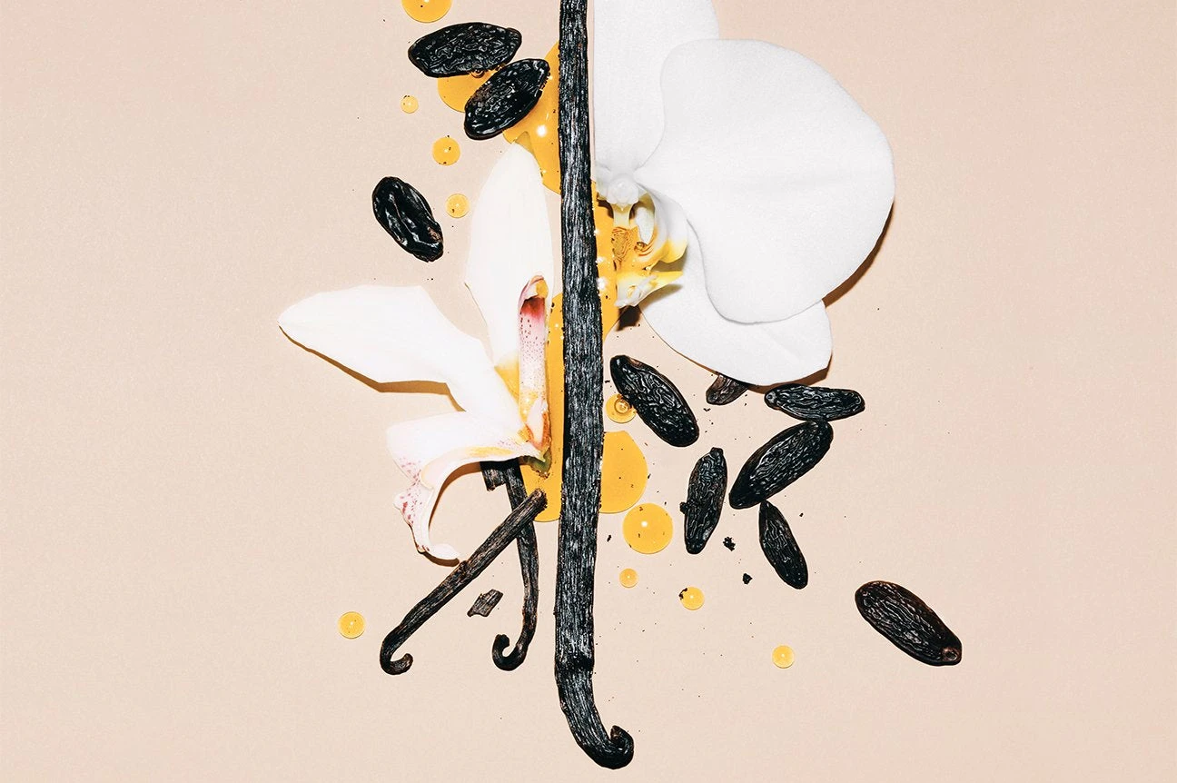 Dirty Vanilla 8 Dirty Vanilla - Image 8