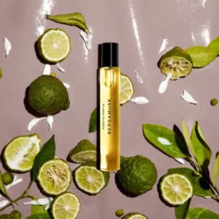 Bergamusk -Perfume Store image ec62d68a 7dd7 4333 9a62 56953d59f0db